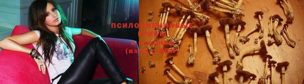 экстази Алзамай
