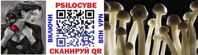 Псилоцибиновые грибы Cubensis  Алушта 