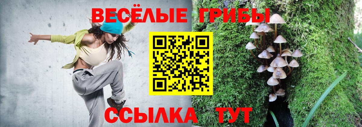 где найти наркотики  Вход с VPN  Алушта  Галлюциногенные грибы GOLDEN TEACHER  Галлюциногенные грибы ЛСД 